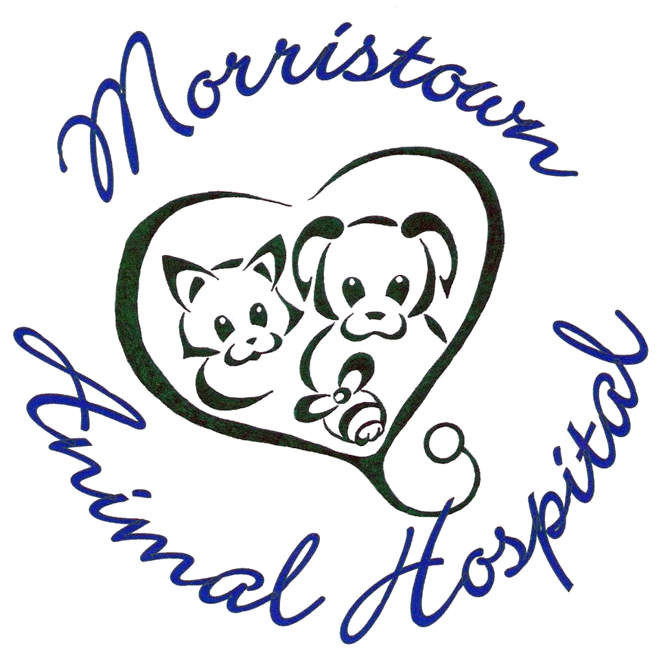 Morristown Animal Hospital logo